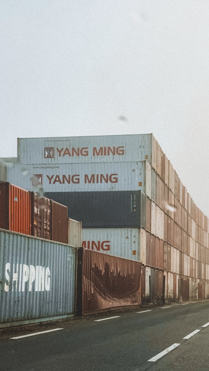 hero-img-02 Rows of Yang Ming shipping containers stacked at port under hazy sky.